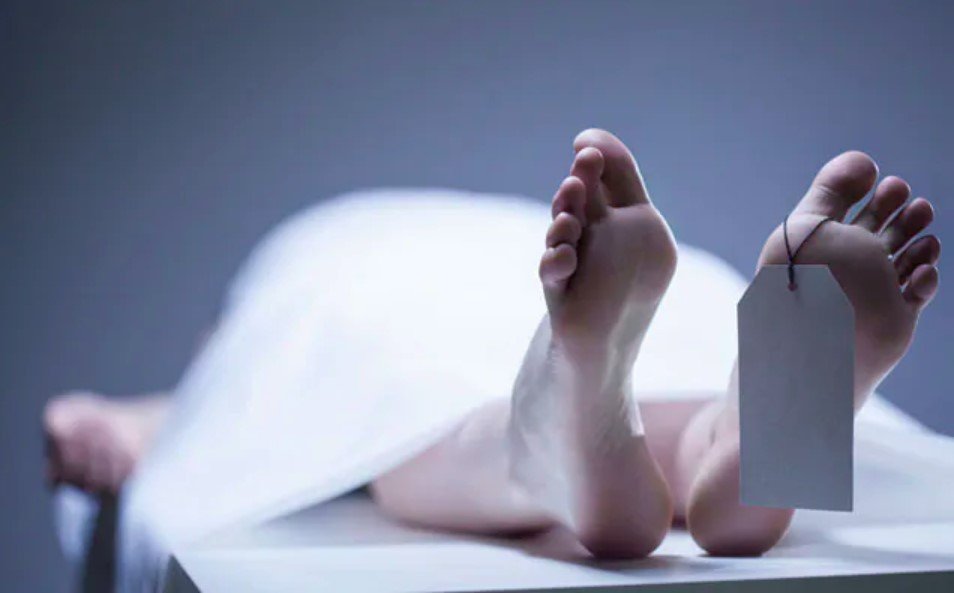 पेड़ गिरने से एक की मौत, दूसरा गंभीर घायल